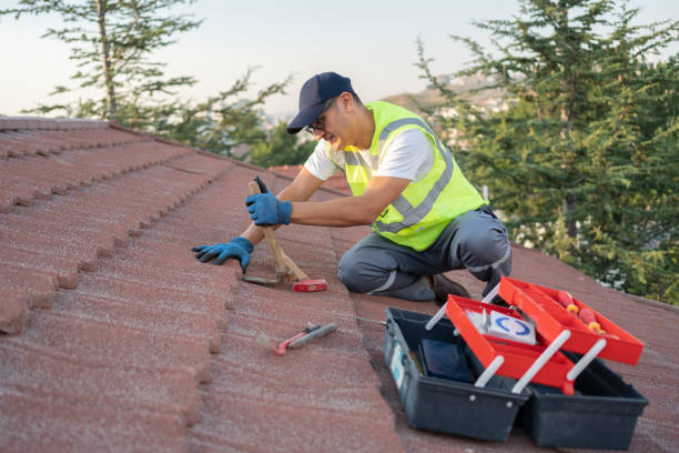 Best Roof Gutter Cleaning  in Essex, MD